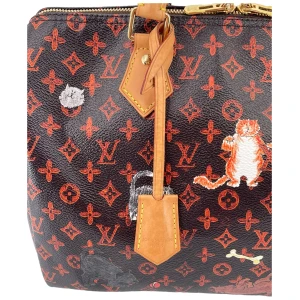 Louis Vuitton Speedy 30 Catogram Carrier bags Louis Vuitton 49 Louis Vuitton Speedy 30 Catogram Carrier bags Louis Vuitton 49
