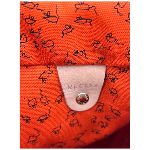 Louis Vuitton Speedy 30 Catogram Carrier bags Louis Vuitton 30 Louis Vuitton Speedy 30 Catogram Carrier bags Louis Vuitton 30