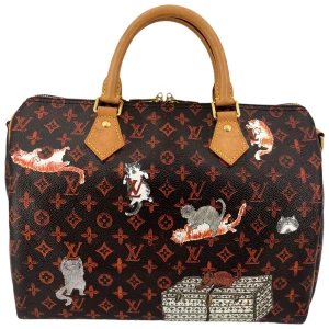 Louis Vuitton Speedy 30 Catogram Carrier bags Louis Vuitton 35 Louis Vuitton Speedy 30 Catogram Carrier bags Louis Vuitton 35