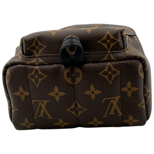 Louis Vuitton Palm Springs Mini Monogram Canvas Handbags Louis Vuitton 10