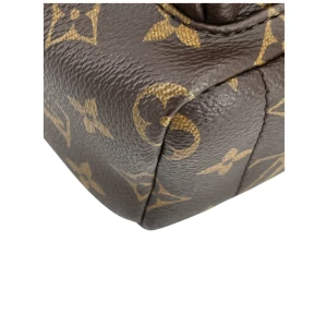 Louis Vuitton Palm Springs Mini Monogram Canvas Handbags Louis Vuitton 29