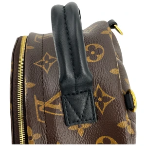 Louis Vuitton Palm Springs Mini Monogram Canvas Handbags Louis Vuitton 32