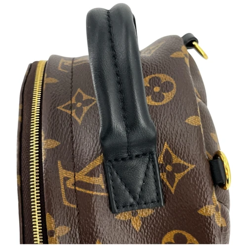 Louis Vuitton Palm Springs Mini Monogram Canvas Handbags Louis Vuitton 14