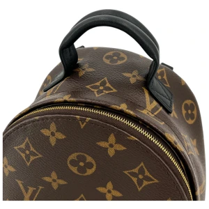 Louis Vuitton Palm Springs Mini Monogram Canvas Handbags Louis Vuitton 31