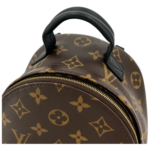 Louis Vuitton Palm Springs Mini Monogram Canvas Handbags Louis Vuitton 13