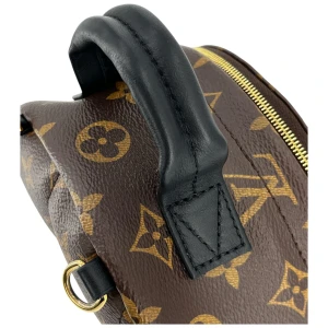 Louis Vuitton Palm Springs Mini Monogram Canvas Handbags Louis Vuitton 33