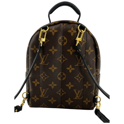 Louis Vuitton Palm Springs Mini Monogram Canvas Handbags Louis Vuitton 8