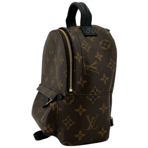 Louis Vuitton Palm Springs Mini Monogram Canvas Handbags Louis Vuitton 27