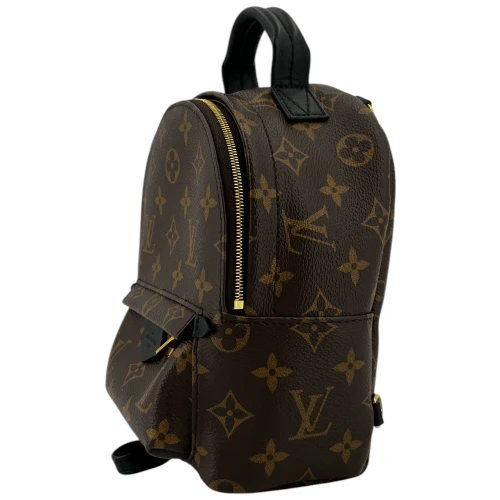 Louis Vuitton Palm Springs Mini Monogram Canvas Handbags Louis Vuitton 9