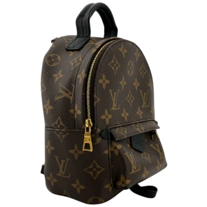 Louis Vuitton Palm Springs Mini Monogram Canvas Handbags Louis Vuitton 25