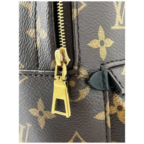 Louis Vuitton Palm Springs Mini Monogram Canvas Handbags Louis Vuitton 16