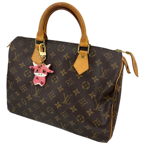 Bijou de sac Louis Vuitton Rodeo Ox Éditions Limitées Louis Vuitton 7