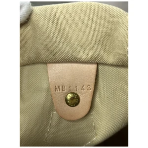 Louis Vuitton Speedy 25 Damier Azur Carrier bags Louis Vuitton 37