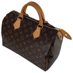 Louis Vuitton Speedy 30 Monogram Canvas Carrier bags Louis Vuitton 24