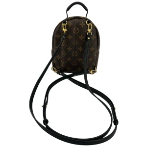 Louis Vuitton Palm Springs Mini Monogram Canvas Handbags Louis Vuitton 35