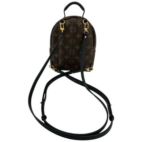 Louis Vuitton Palm Springs Mini Monogram Canvas Handbags Louis Vuitton 17
