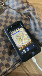 Louis Vuitton authentication