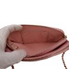 Chanel Double Zip Wallet on Chain WOC Iridescent Rosa Chanel Chanel 29 Chanel Double Zip Wallet on Chain WOC Iridescent Rosa Chanel Chanel 29