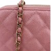 Chanel Double Zip Wallet on Chain WOC Iridescent Rosa Chanel Chanel 26 Chanel Double Zip Wallet on Chain WOC Iridescent Rosa Chanel Chanel 26