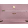 Chanel Wallet on Chain WOC Pochette Kalbsleder Light Pink Rosa Chanel Chanel 34 Chanel Wallet on Chain WOC Pochette Kalbsleder Light Pink Rosa Chanel Chanel 34