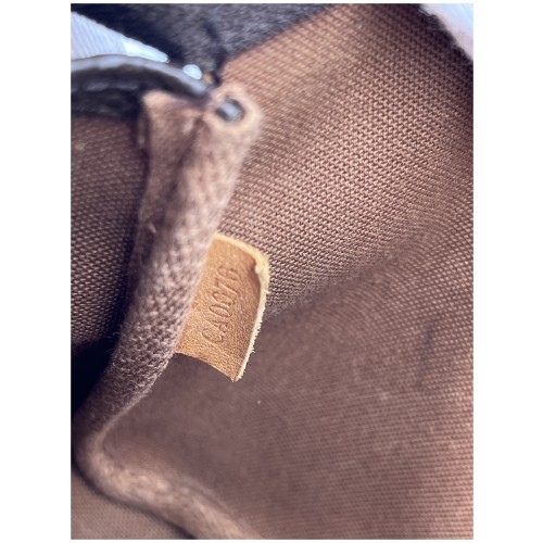Louis Vuitton Pochette Accessoires Monogram Canvas