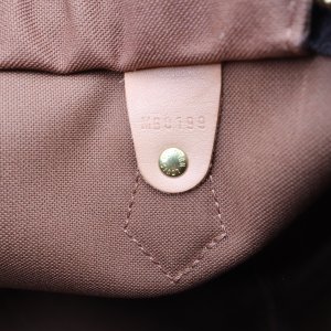 Louis Vuitton Speedy 25 Monogram Canvas