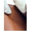 Louis Vuitton Agenda PM Monogram Canvas Kleinlederwaren Louis Vuitton 32 Louis Vuitton Agenda PM Monogram Canvas Kleinlederwaren Louis Vuitton 32