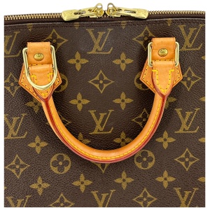 Louis Vuitton Alma PM Monogram Canvas