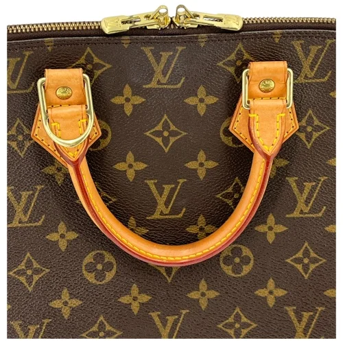 Louis Vuitton Alma PM Monogram Canvas