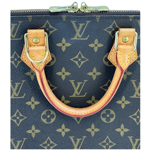 Louis Vuitton Alma PM Monogram Canvas