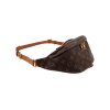 Louis Vuitton Bumbag Monogram Canvas Handbags Louis Vuitton 17