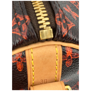 Louis Vuitton Speedy 30 Catogram