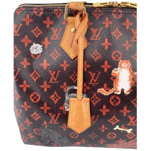 Louis Vuitton Speedy 30 Catogram