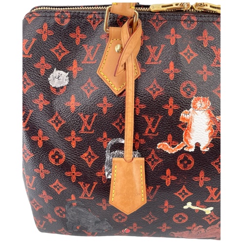 Louis Vuitton Speedy 30 Catogram