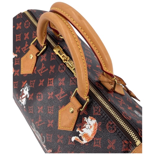 Louis Vuitton Speedy 30 Catogram