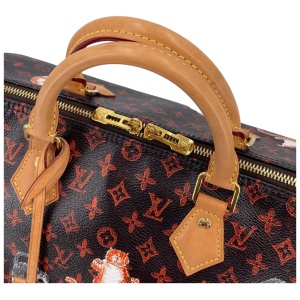 Louis Vuitton Speedy 30 Catogram