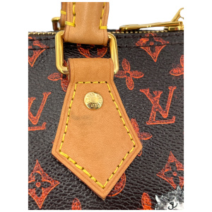 Louis Vuitton Speedy 30 Catogram