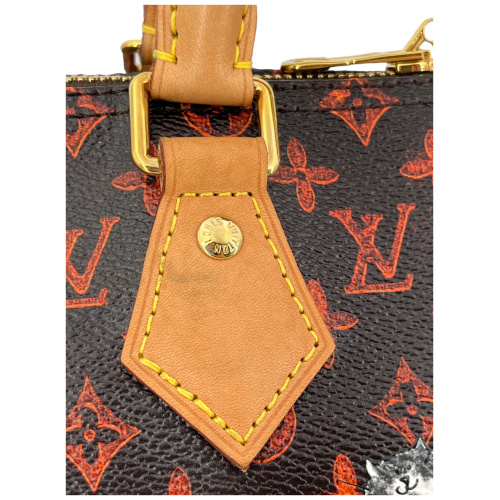 Louis Vuitton Speedy 30 Catogram