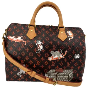 Louis Vuitton Speedy 30 Grace Coddington Catogram