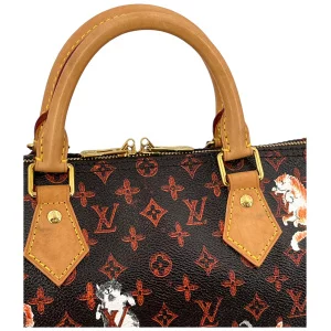 Louis Vuitton Speedy 30 Grace Coddington Catogram