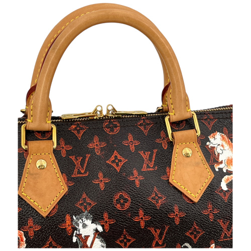 Louis Vuitton Speedy 30 Catogram