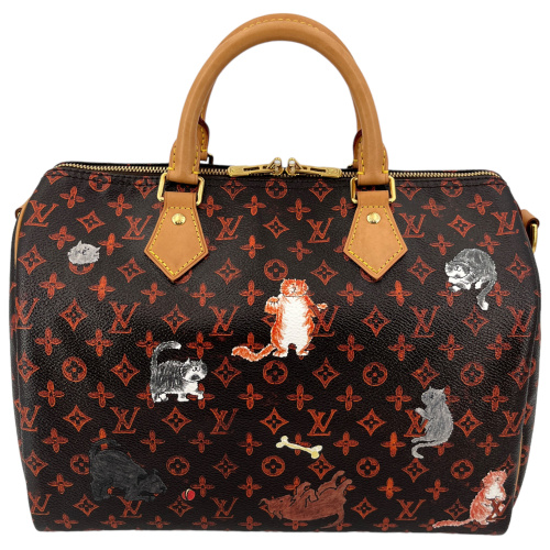 Louis Vuitton Speedy 30 Catogram