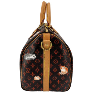 Louis Vuitton Speedy 30 Catogram