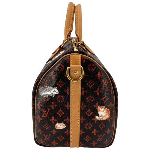 Louis Vuitton Speedy 30 Catogram