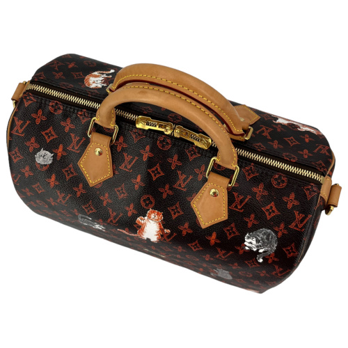 Louis Vuitton Speedy 30 Catogram