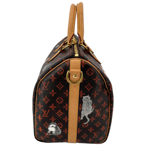 Louis Vuitton Speedy 30 Catogram