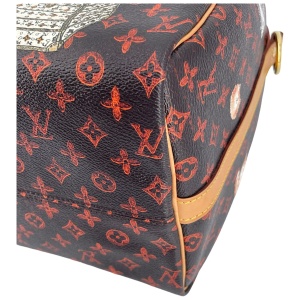 Louis Vuitton Speedy 30 Catogram