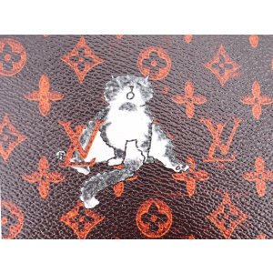 Louis Vuitton Catogram Zippy