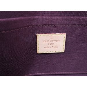 Louis Vuitton Favorite MM Monogram Canvas