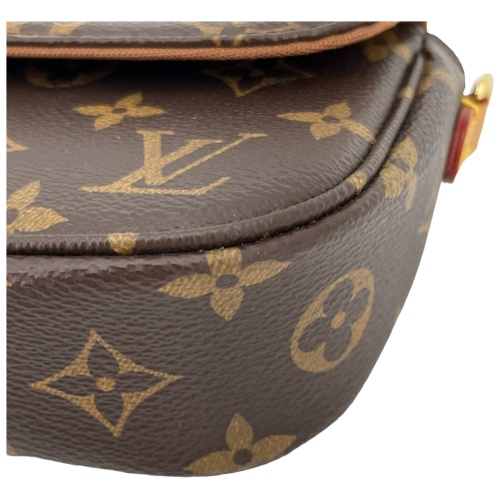 Louis Vuitton Wallet on Chain Ivy Monogram Canvas